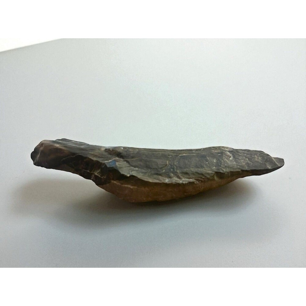 Natural Minerals Rocks Petrified Wood Piece 9.5” x 2.5” Collector Collectible